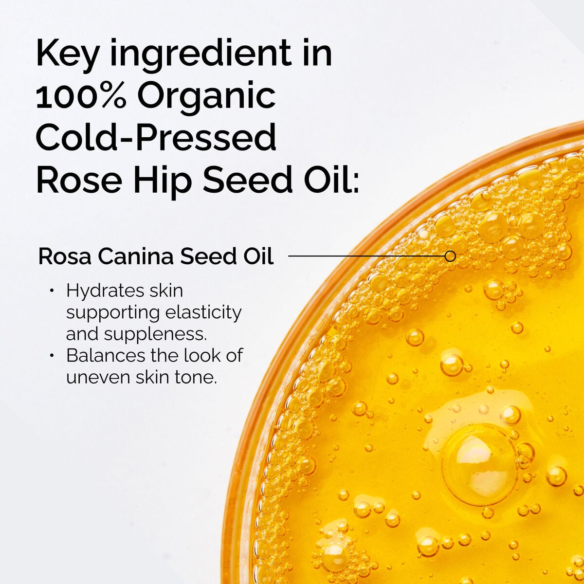 100-organic-cold-pressed-rose-hip-seed-oil-x4 FY25-D41247-ORD-Web-PDP-100-Rose-Hip-Oil-1x1-EN-2.jpg