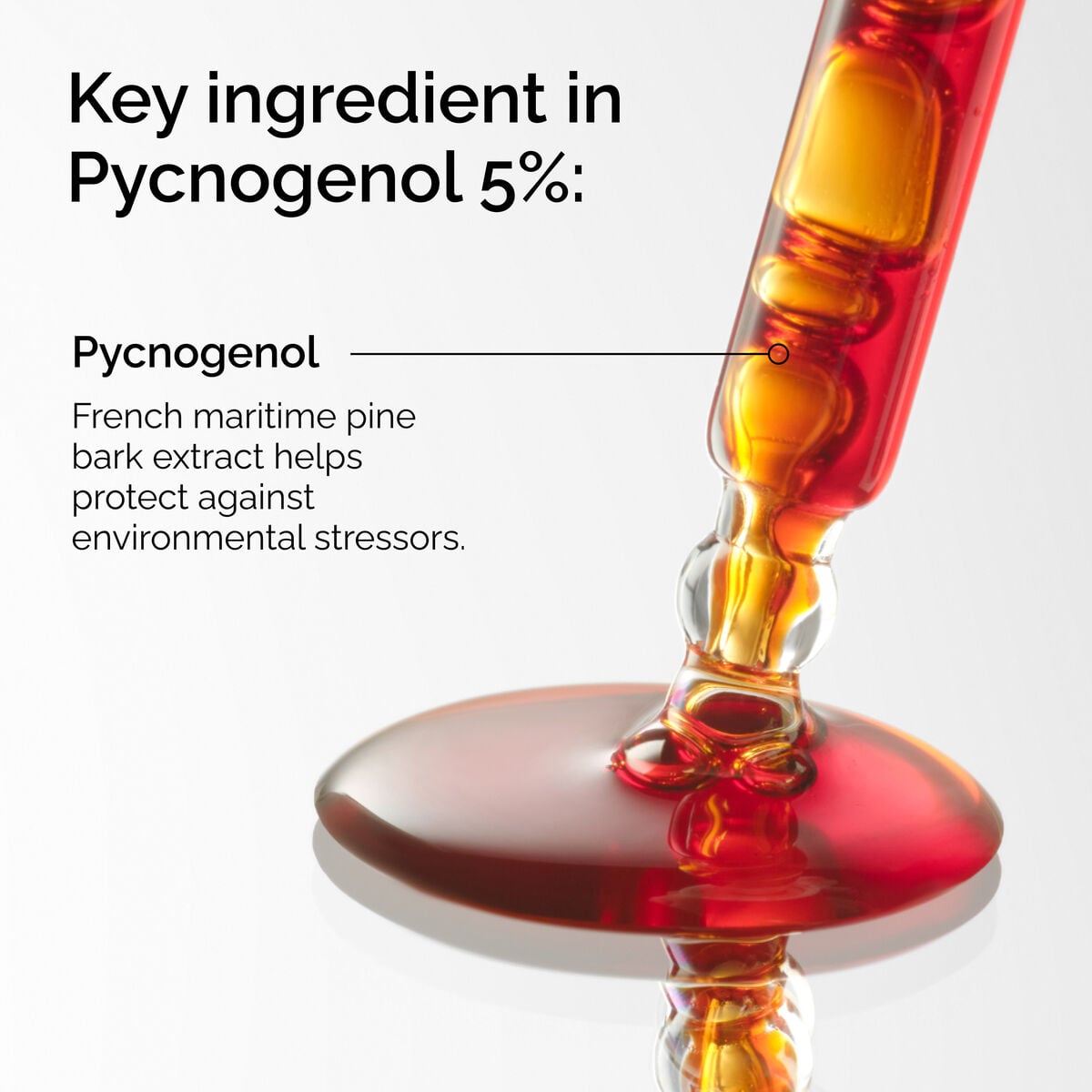 pycnogenol-5-s0 FY25-D41247-ORD-Web-PDP-Pyc-5pct-1x1-EN-2a.jpg