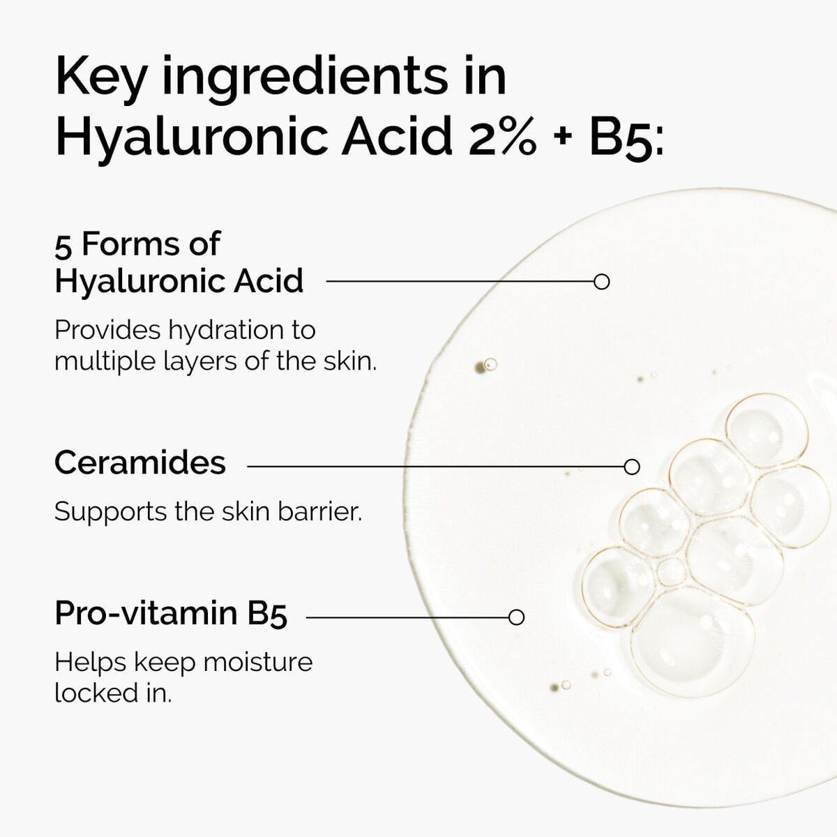 hyaluronic-acid-2-b5-with-ceramides-z6 ord-hyaluronic-acid-2pct-b5-hydrating-serum-ingredients-graphic.jpg