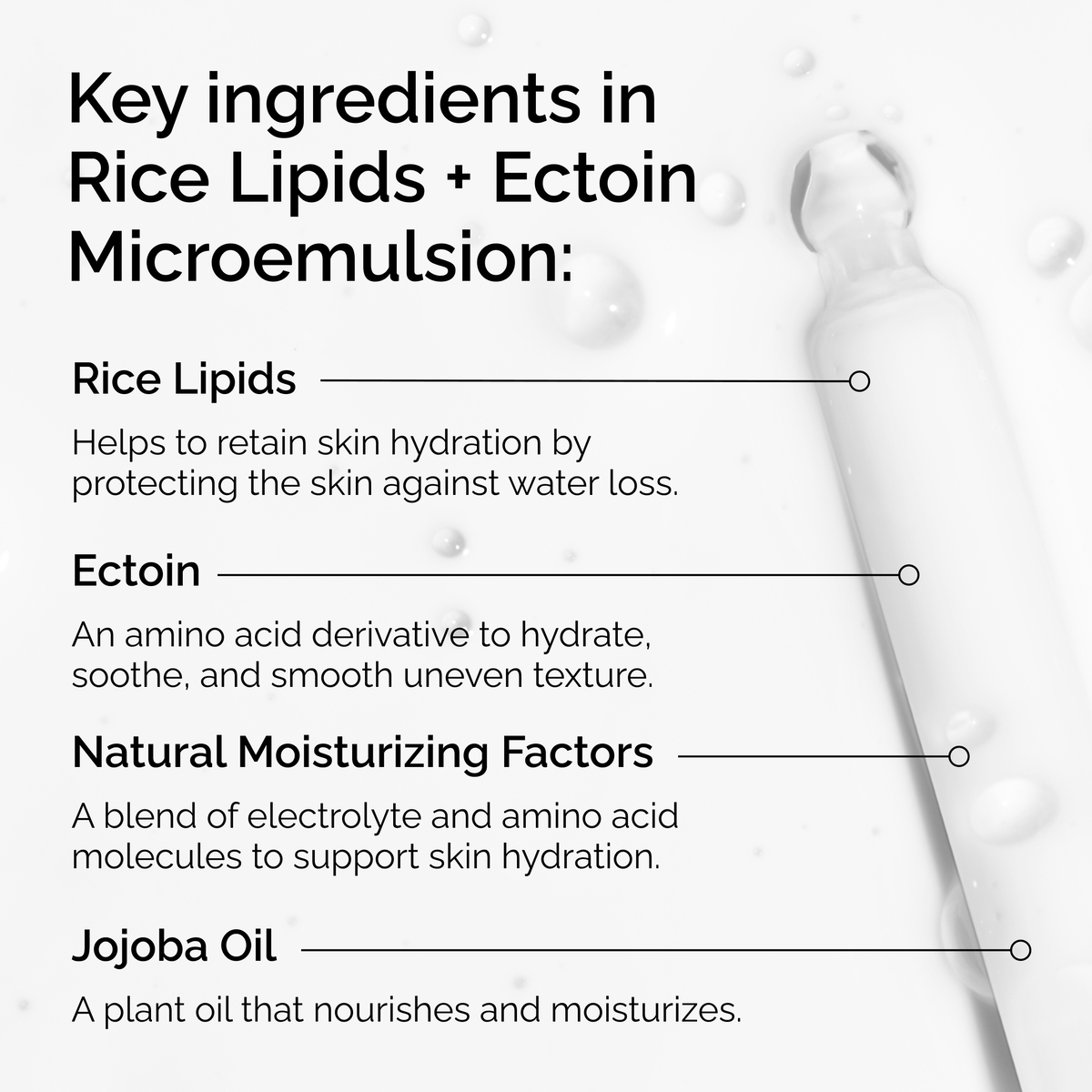 rice-lipids-ectoin-microemulsion-w1 ord-rice-lipids-ectoin-microemulsion-key-ingredients.png