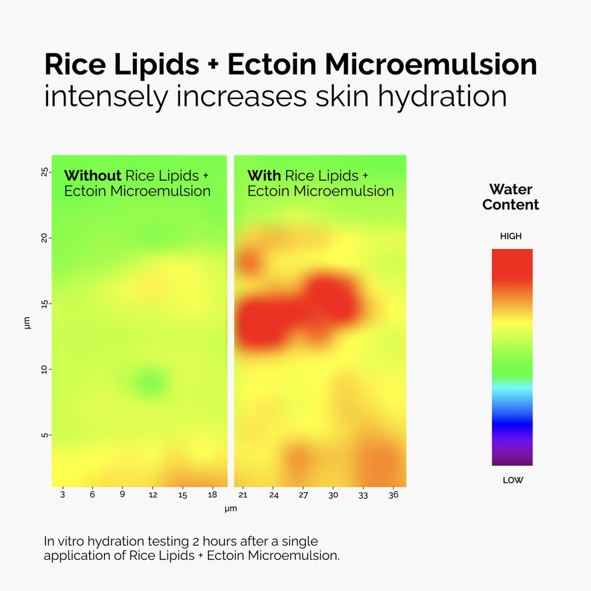 rice-lipids-ectoin-microemulsion-w1 ord-rice-lipids-ectoin-microemulsion-thermal-before-after.jpg
